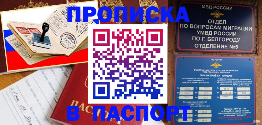 купить прописку в Зее